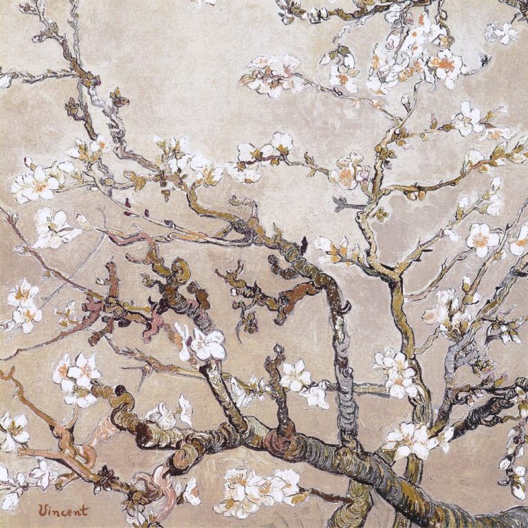 Branches d'amandier en fleurs, Vincent van Gogh (1890)