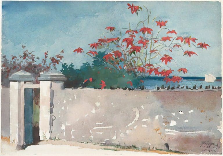 Un mur, Nassau, Winslow Homer (1898)