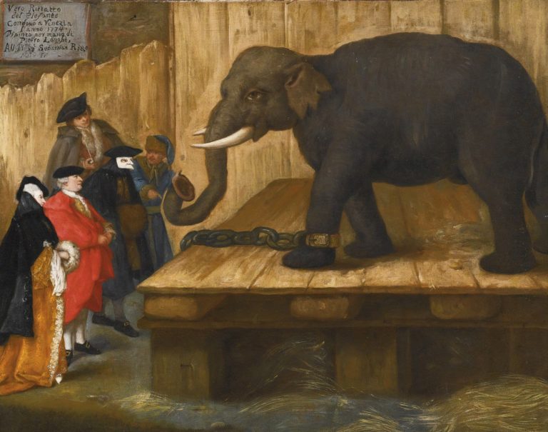 Éléphant, Pietro Longhi (1770)