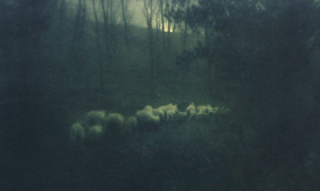 Enigmatic – Edward Steichen