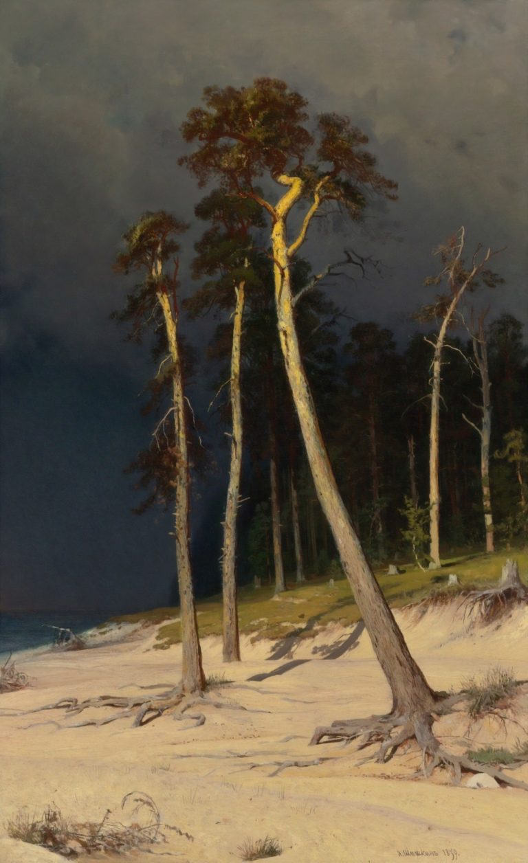 La côte sableuse, Ivan Chichkine (1879)
