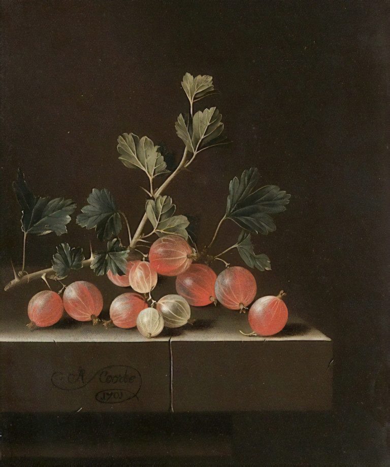 Nature morte aux groseilles, Adriaen Coorte (1701)