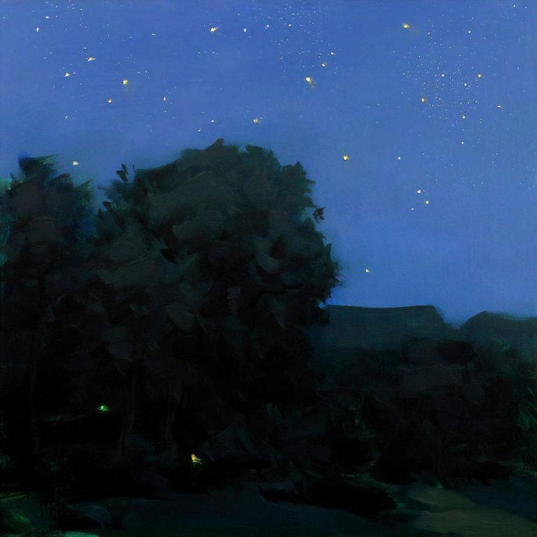 Nocturne, nuit étoilée, Thomas Torak (2002)