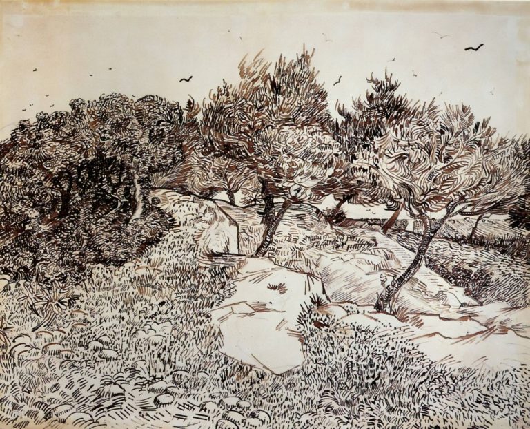 Oliviers à Montmajour, Vincent van Gogh (1888)