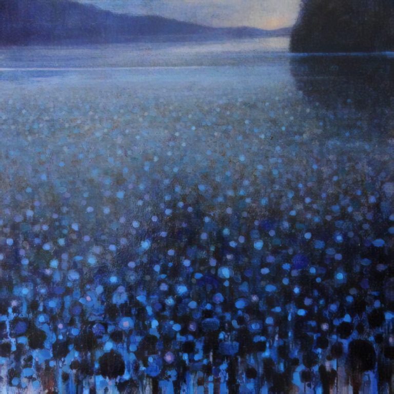 L'appel du plongeon, Ewoud de Groot (2012)
