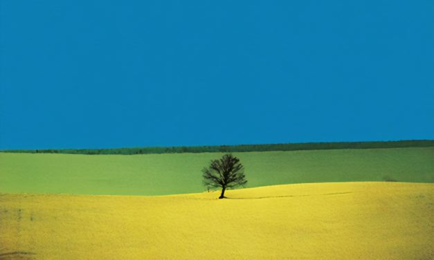 Landscape – Franco Fontana