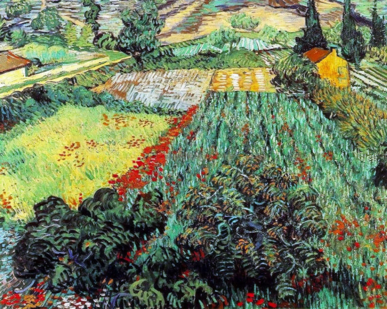 Champ de pavots, Vincent van Gogh (1889)