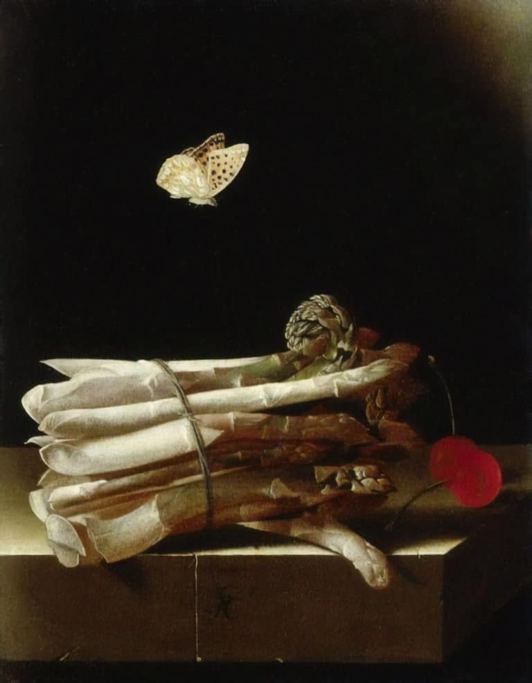 Nature morte à la botte d'asperges, aux cerises et au papillon, Adriaen Coorte (1693)