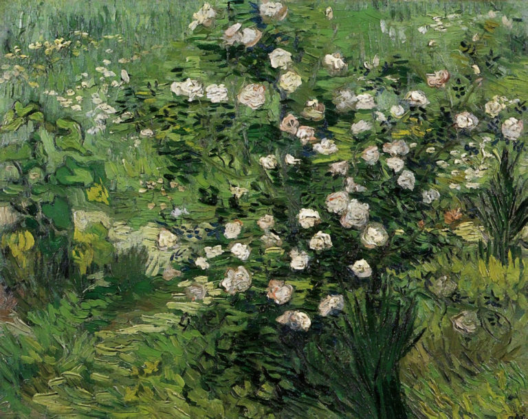 Roses fleuries, Vincent van Gogh (1889)
