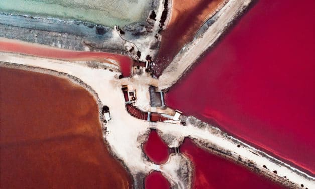 The salt – Tom Hegen