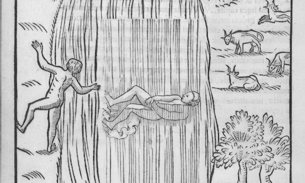 L&rsquo;art de la natation – Everard Digby