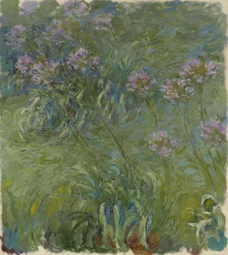 Agapanthes, Claude Monet (1914)