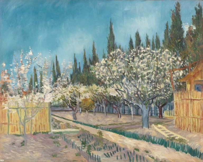 Jardin, Vincent van Gogh (1888)