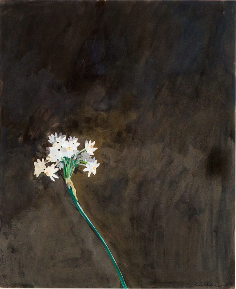 Narcisse, Paul Wonner (1966)