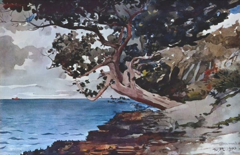 North Road, Bermudes, Winslow Homer (1900)