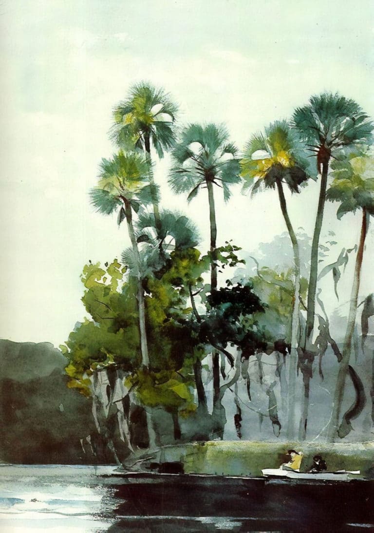 La Rivière Homosassa, Winslow Homer (1904)