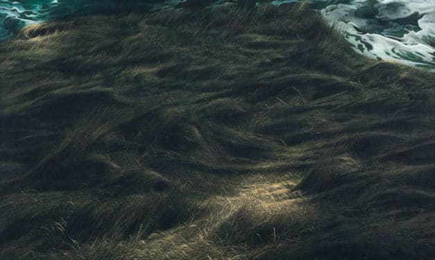 Chute et Pardon – Théodore Weustenraad