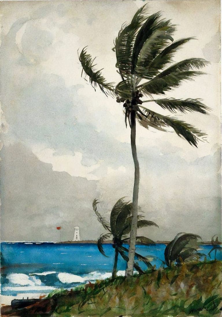 Palmier, Winslow Homer (1901)