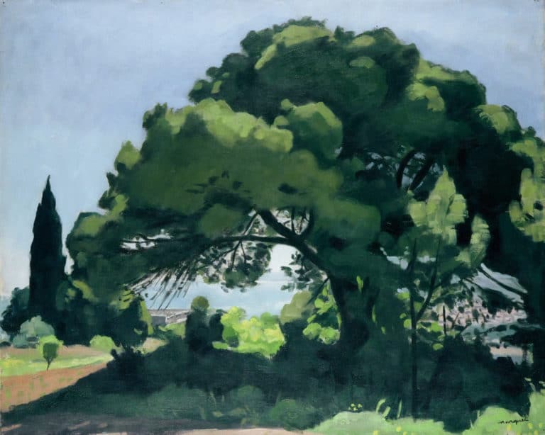 Pin à Alger, Albert Marquet (1912)