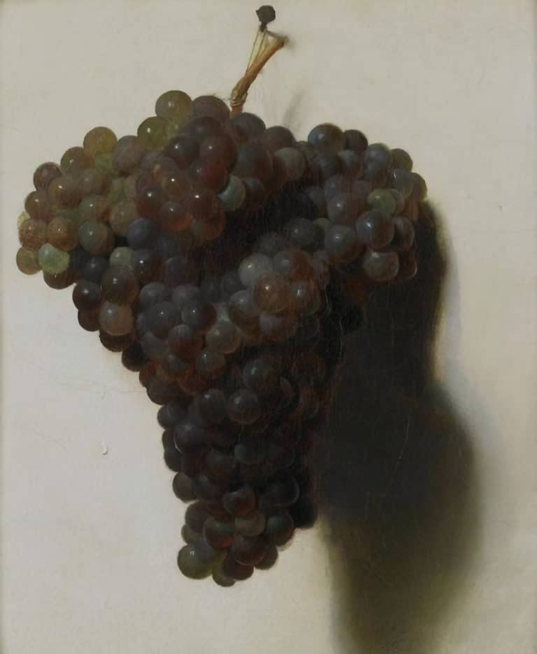 Raisins, Louis-Léopold Boilly (1844)