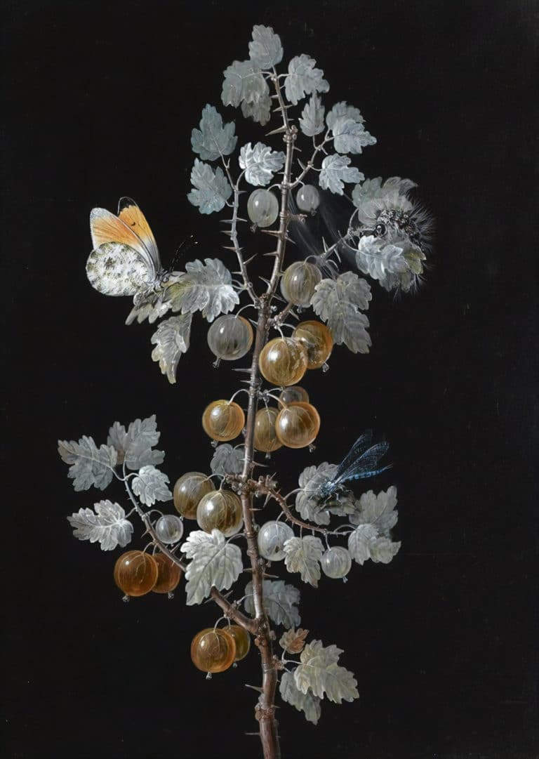Composition, Barbara Regina Dietzsch (1750)