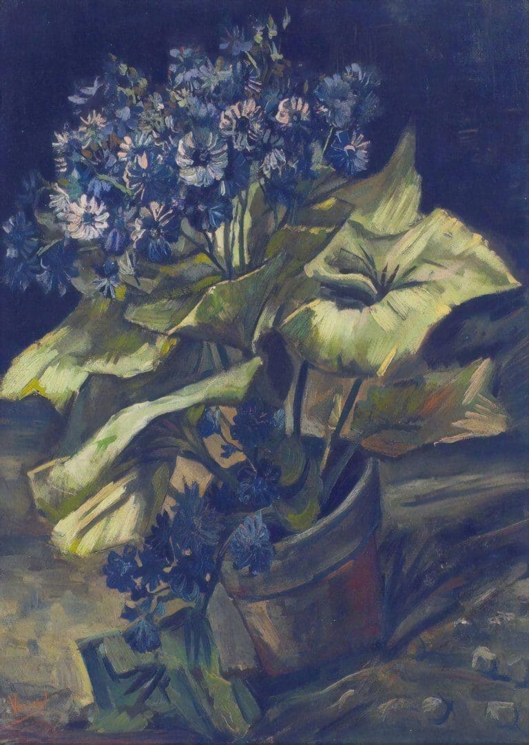 Cinéraire en pot, Vincent van Gogh (1886)