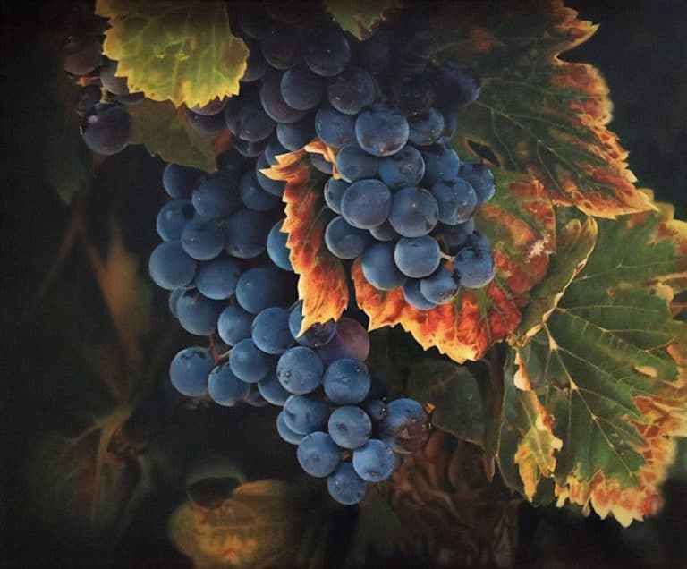 Raisins, Cinzia Rispoli (2016)