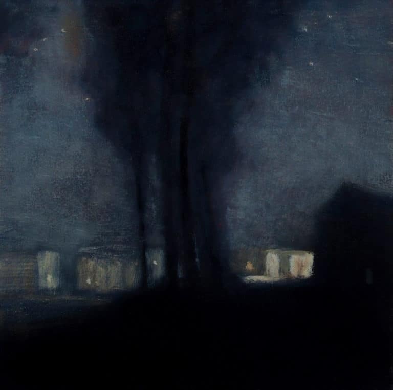 Le village la nuit, Francis Mc Carthy (2013)