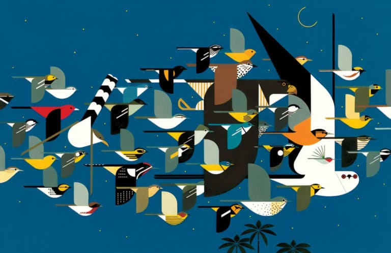 Oiseaux, Charley Harper (1990)