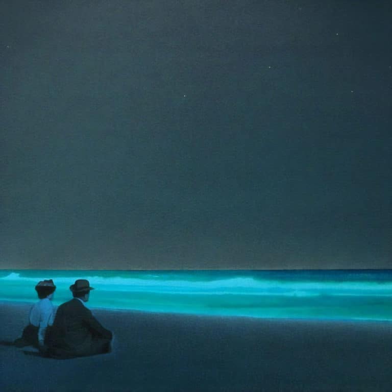 Deux amis sur le rivage, Devin Leonardi (2009)