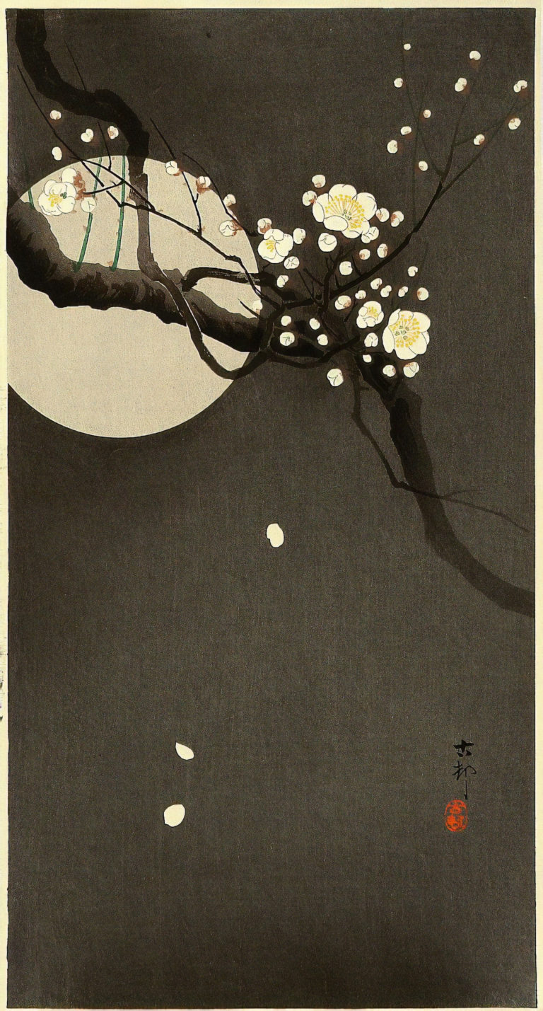 Prunier en fleurs et lune, Koson Ohara (1898)