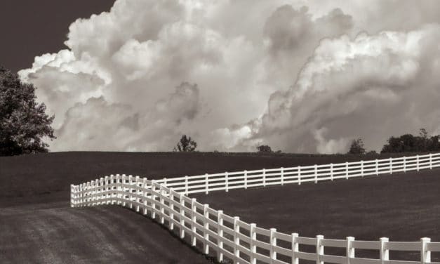After the storm – Michael Knapstein