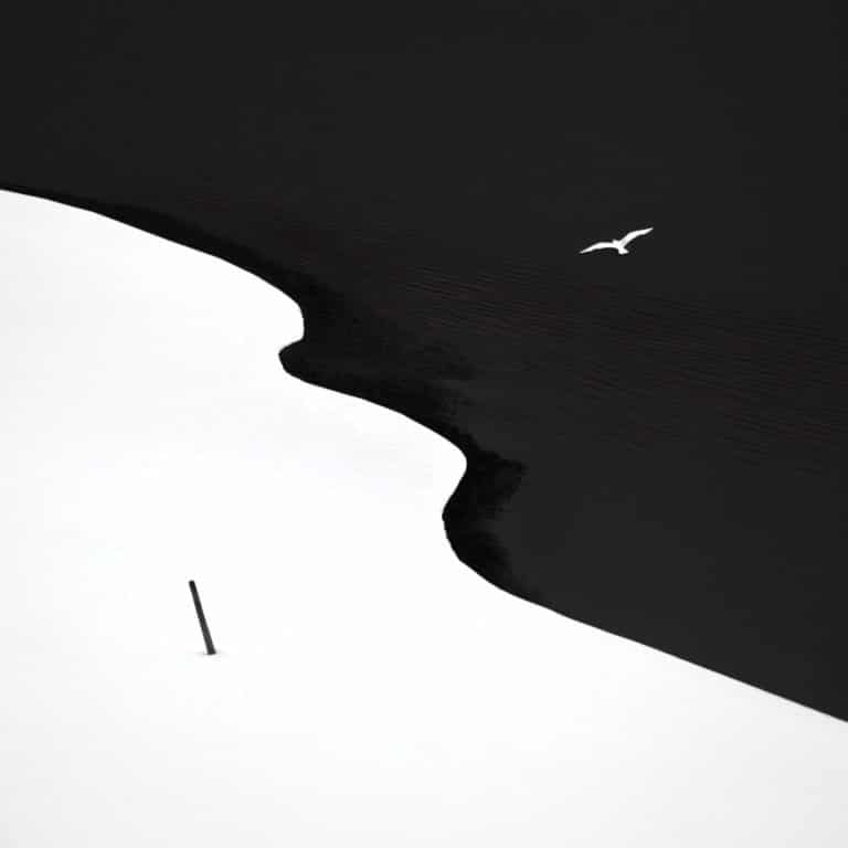 Bord de mer, Patrick Ems (2010)