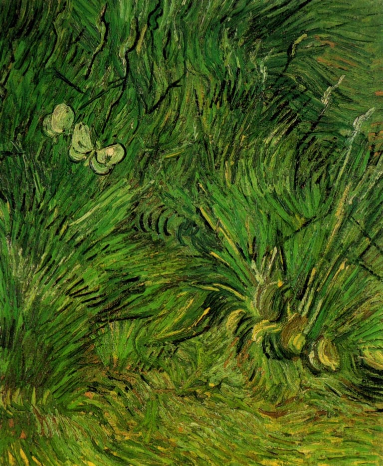 Deux papillons, Vincent van Gogh (1889)