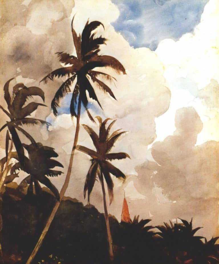 Palmiers, Winslow Homer (1899)