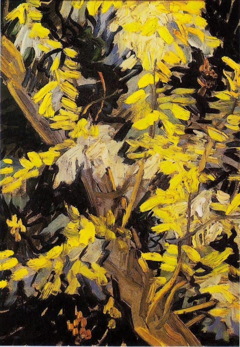 Acacias en fleurs, Vincent van Gogh (1890)