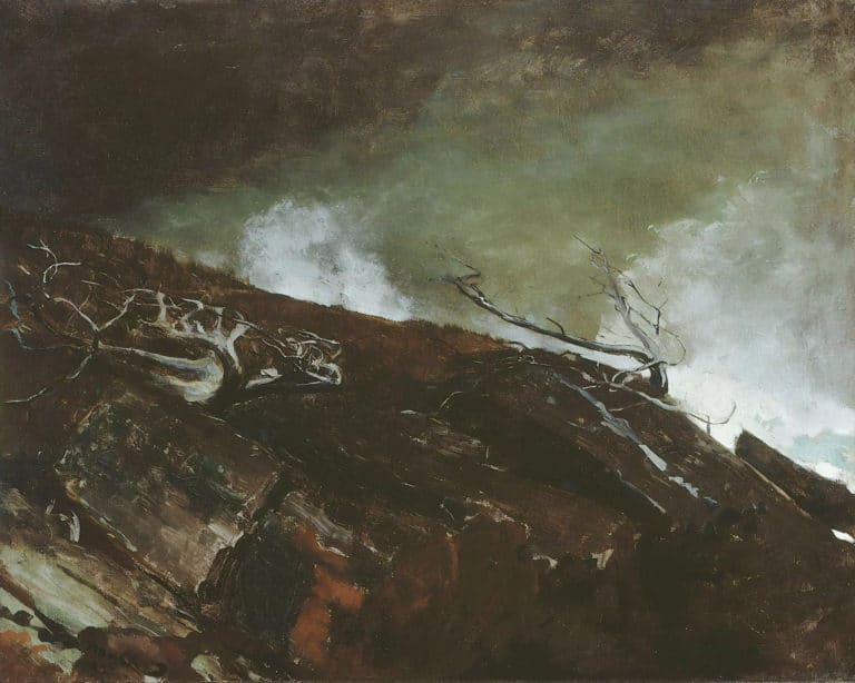 Côte du Maine, Winslow Homer (1899)
