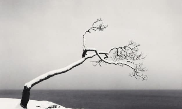 Hokkaido – Michael Kenna