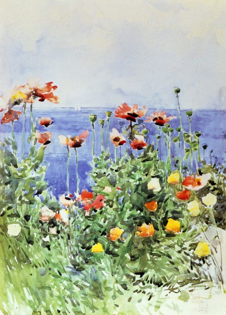 Coquelicots, îles de Shoals, Childe Hassam (1891)