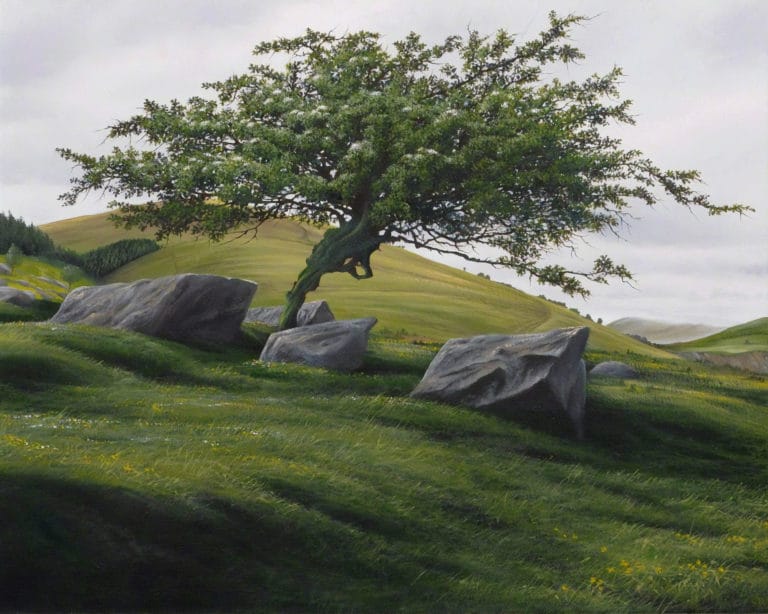Aubépine au printemps, Gerald Dewsbury (1997)