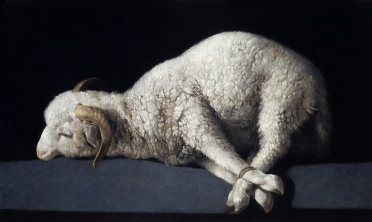 Agnus Dei, Francisco de Zurbarán (1640)
