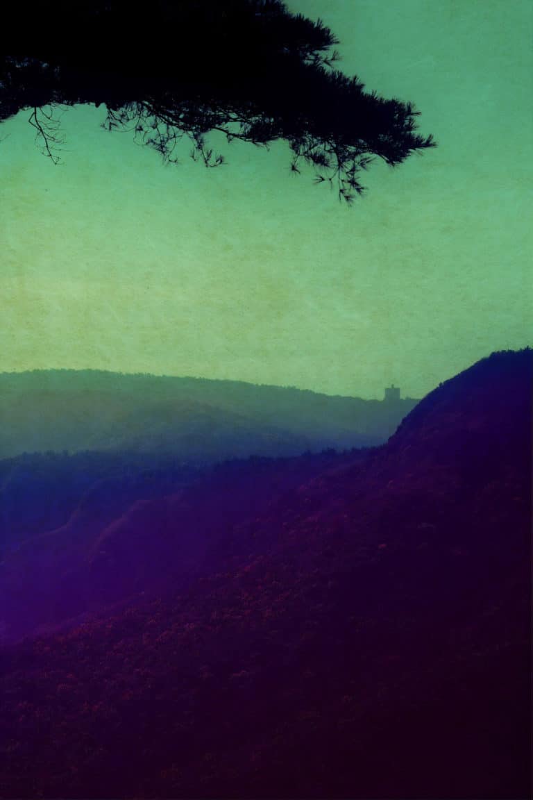 Paysage, Albarran Cabrera (2001)