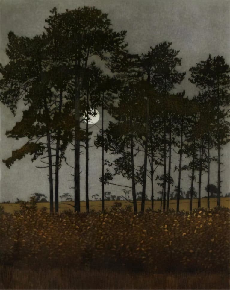 Clair de lune, Phil Greenwood (1976)