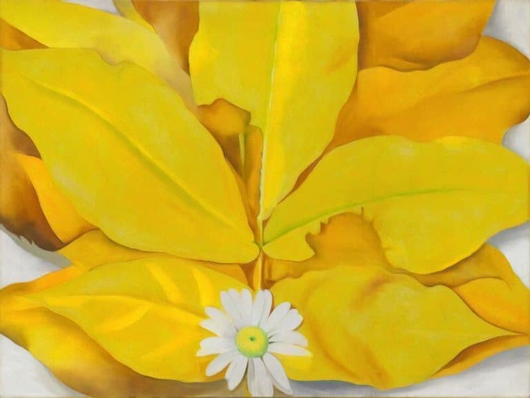 Feuilles jaunes de caryer et marguerite, Georgia O'Keeffe (1928)
