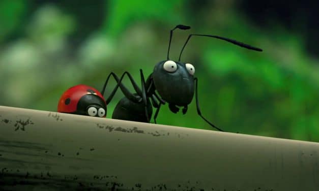 Minuscule, la vallée des fourmis perdues – Thomas Szabo