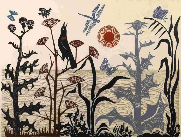 Matin de Californie, Emmy Lou Packard (1984)