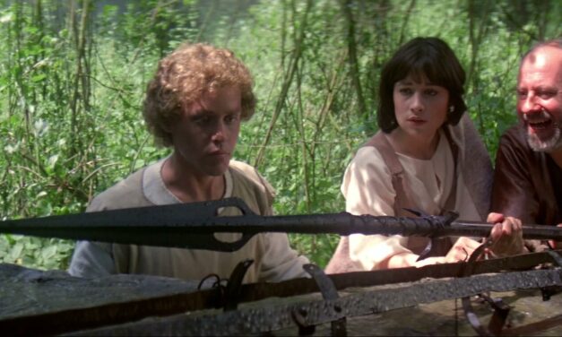 Le dragon du lac de feu – Matthew Robbins