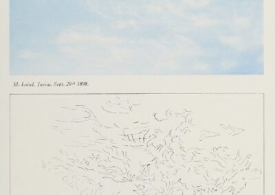 Cirrus délicat en nappe étendue non continue (Cirrus filosus) — code H 2 — Atlas international des nuages, 1930