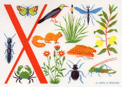 Buvard Larousse « Jeu des mots » — lettre X, 12 mots à trouver