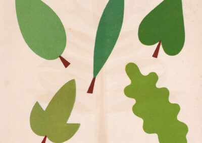 Quatre feuilles découpées, quatre verts différents — Découpages 2, France, 1948